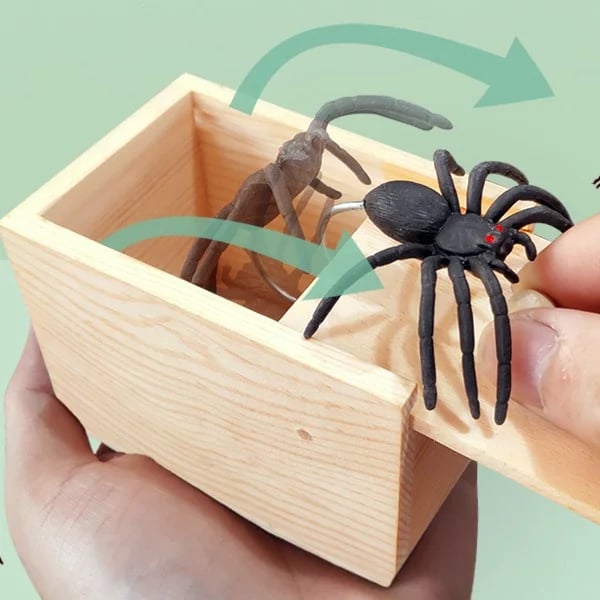 🎁Super Funny Crazy Prank Gift Spider Box