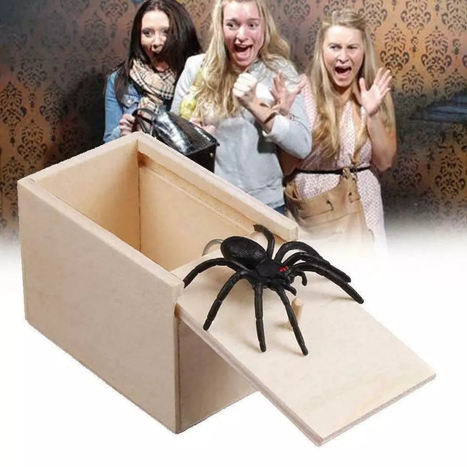 🎁Super Funny Crazy Prank Gift Spider Box