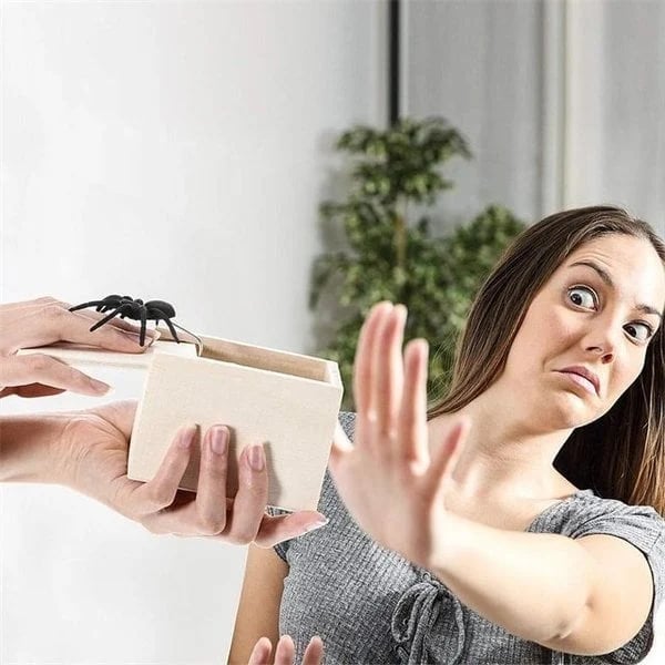 🎁Super Funny Crazy Prank Gift Spider Box
